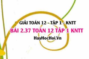 Giải 2.37 Toán 12 tập 1 SGK Kết nối tri thức